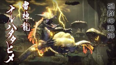 【モンハンライズ】淵源ナルハタタヒメってシリーズの全モンスターの中でも最上位クラスなのかな？？？