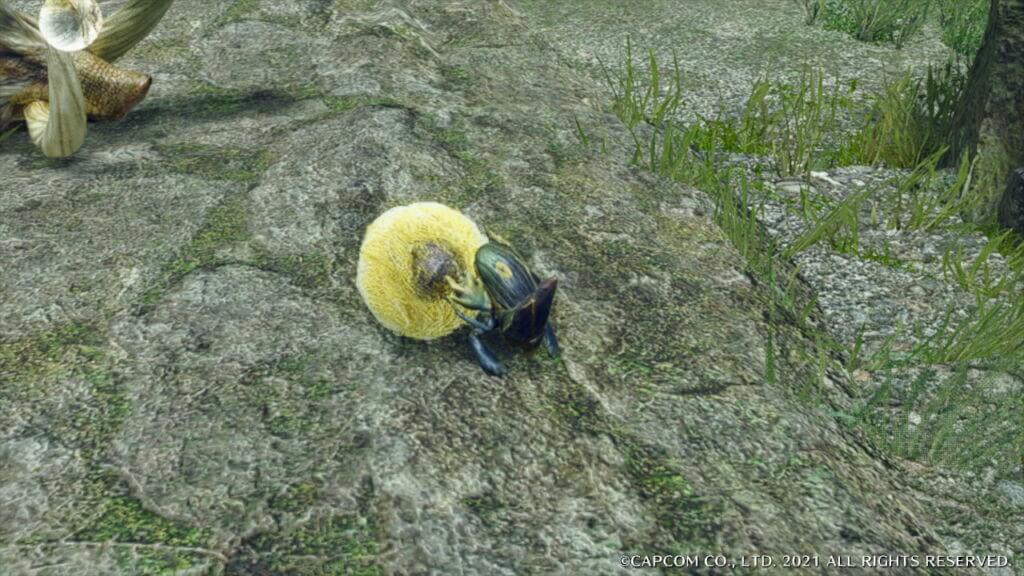 モンハンライズ 属性攻撃が弱すぎる やっぱり調整が難しいのか モンハンライズまとめ速報 モンスターハンターライズ