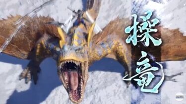 【モンハンライズ】操竜するのかしないのかもやもやする事が多々あるんだけど…