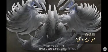 【モンハンワイルズ】ゾシア救援入ったらホスト2乙して見物してたんだが…